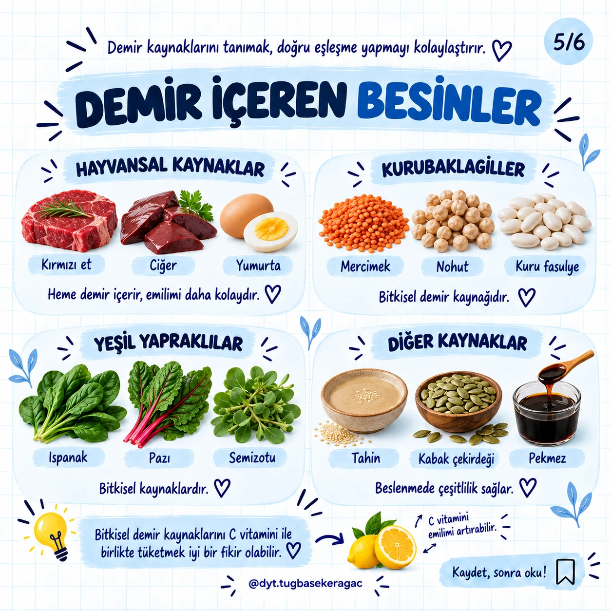 Kırmızı et, ciğer, yumurta, mercimek, nohut, kuru fasulye, ıspanak, pazı, semizotu, tahin, kabak çekirdeği ve pekmez görselleri